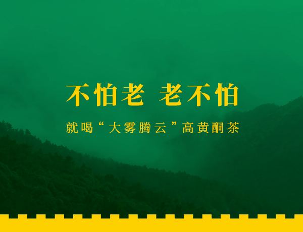 大霧騰云高黃酮茶網(wǎng)站設(shè)計
