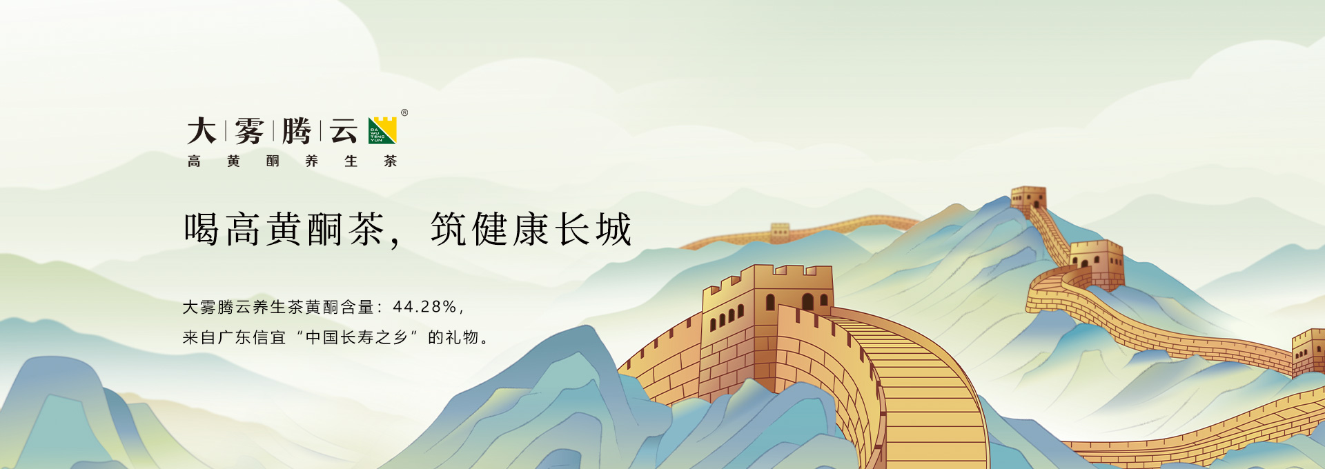 大霧騰云高黃酮養(yǎng)生茶品牌策劃