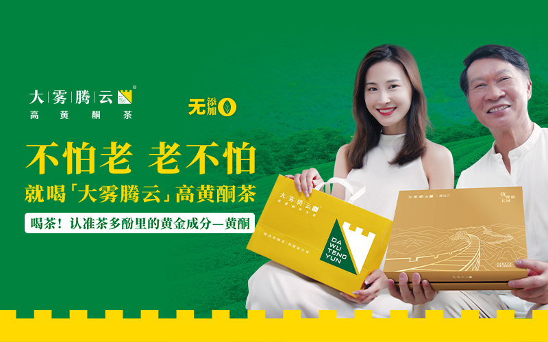 大霧騰云高黃酮茶網(wǎng)站設(shè)計