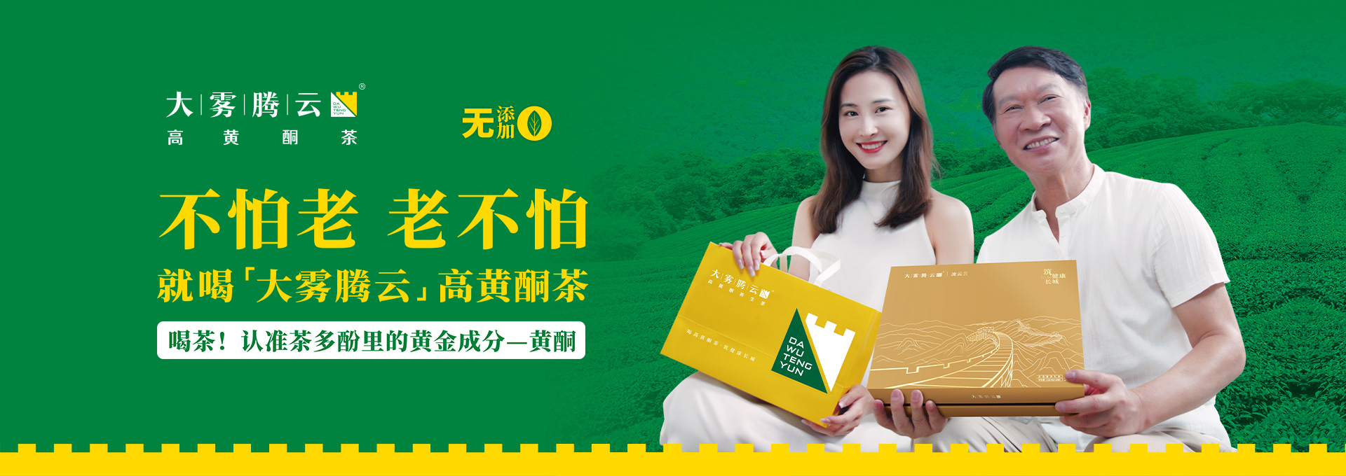 大霧騰云高黃酮茶網(wǎng)站設(shè)計