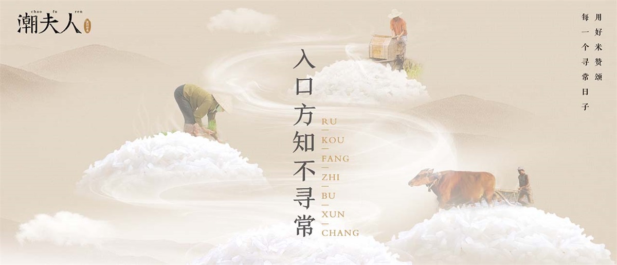 潮夫人·大米品牌設(shè)計案例