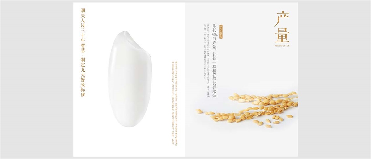 潮夫人·大米品牌設(shè)計案例