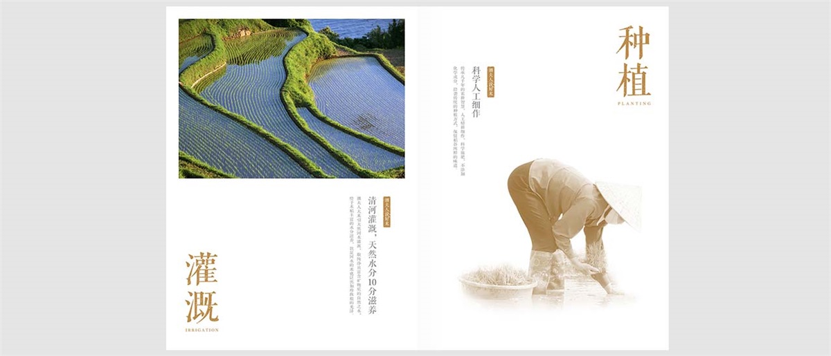 潮夫人·大米品牌設(shè)計案例