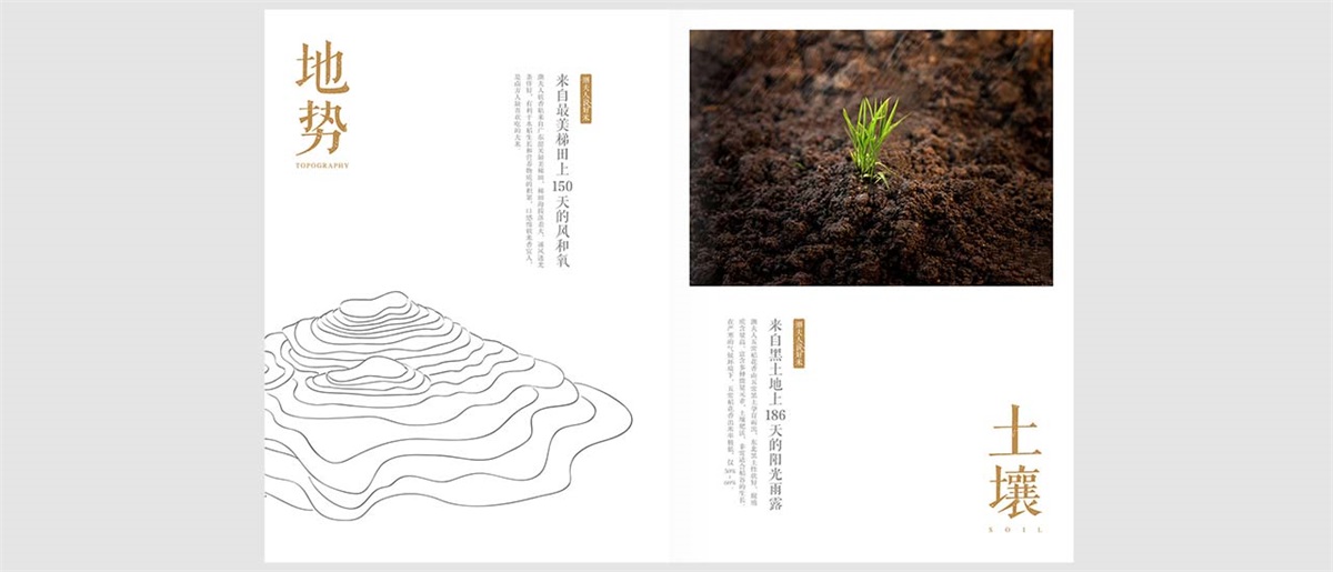 潮夫人·大米品牌設(shè)計案例