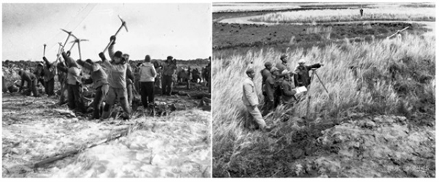 北大荒·中墾沃野大米品牌營(yíng)銷策劃案例