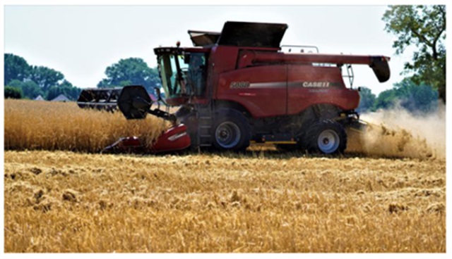 北大荒·中墾沃野大米品牌營(yíng)銷策劃案例