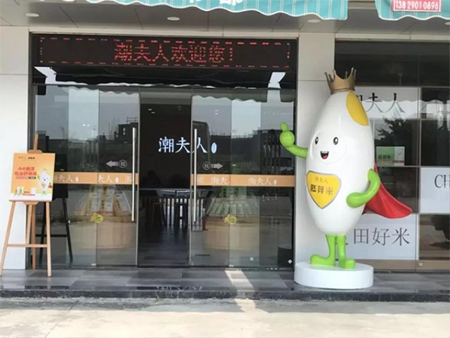 潮夫人·胚芽米品牌營銷策劃案例