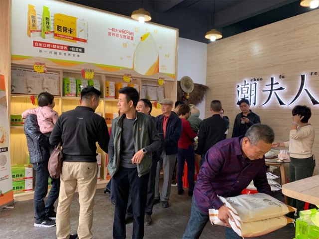 潮夫人·胚芽米品牌營銷策劃案例