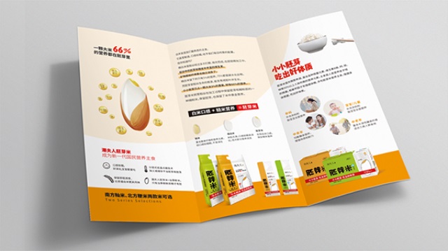 潮夫人·胚芽米品牌營銷策劃案例