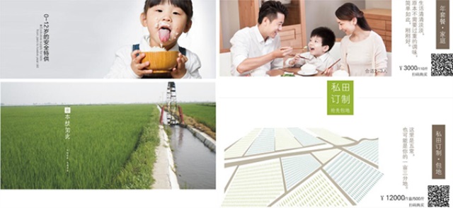 潮夫人·大米品牌營(yíng)銷(xiāo)策劃案例