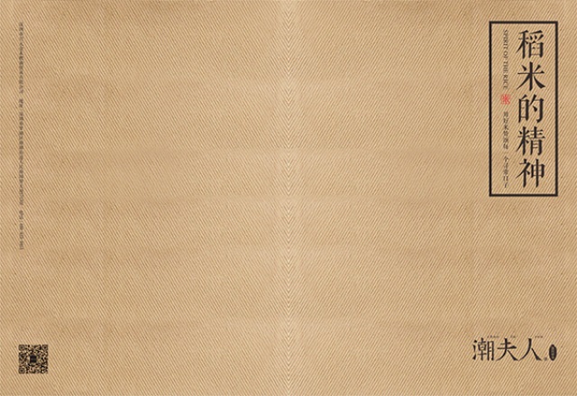 潮夫人·大米品牌營(yíng)銷(xiāo)策劃案例