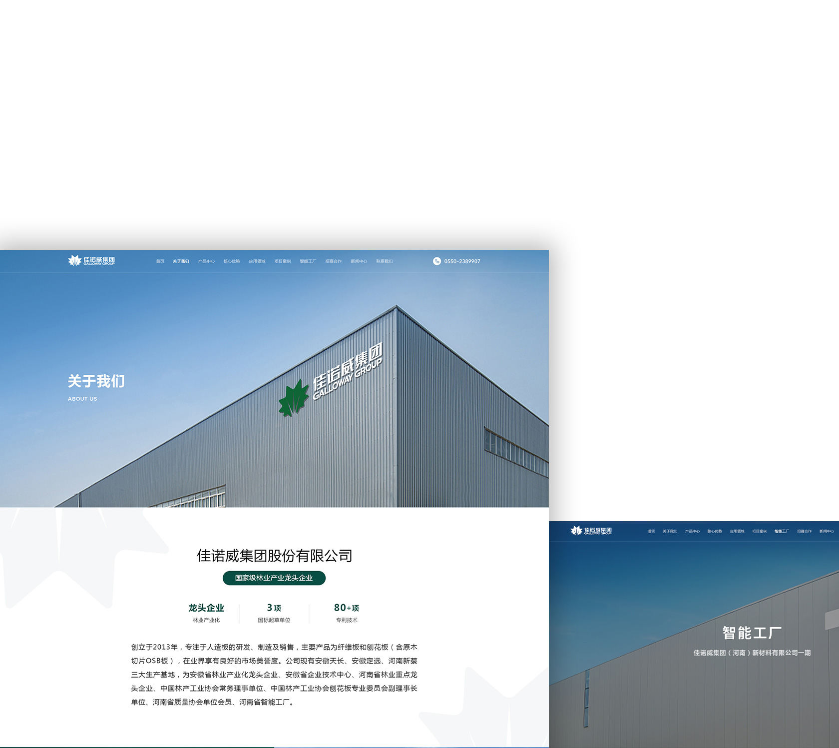 佳諾威環(huán)保板材網(wǎng)站設(shè)計(jì)