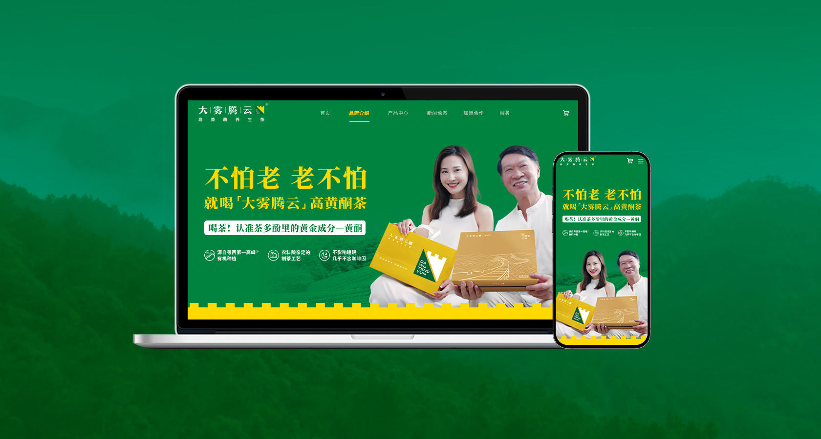 大霧騰云高黃酮茶網(wǎng)站設(shè)計