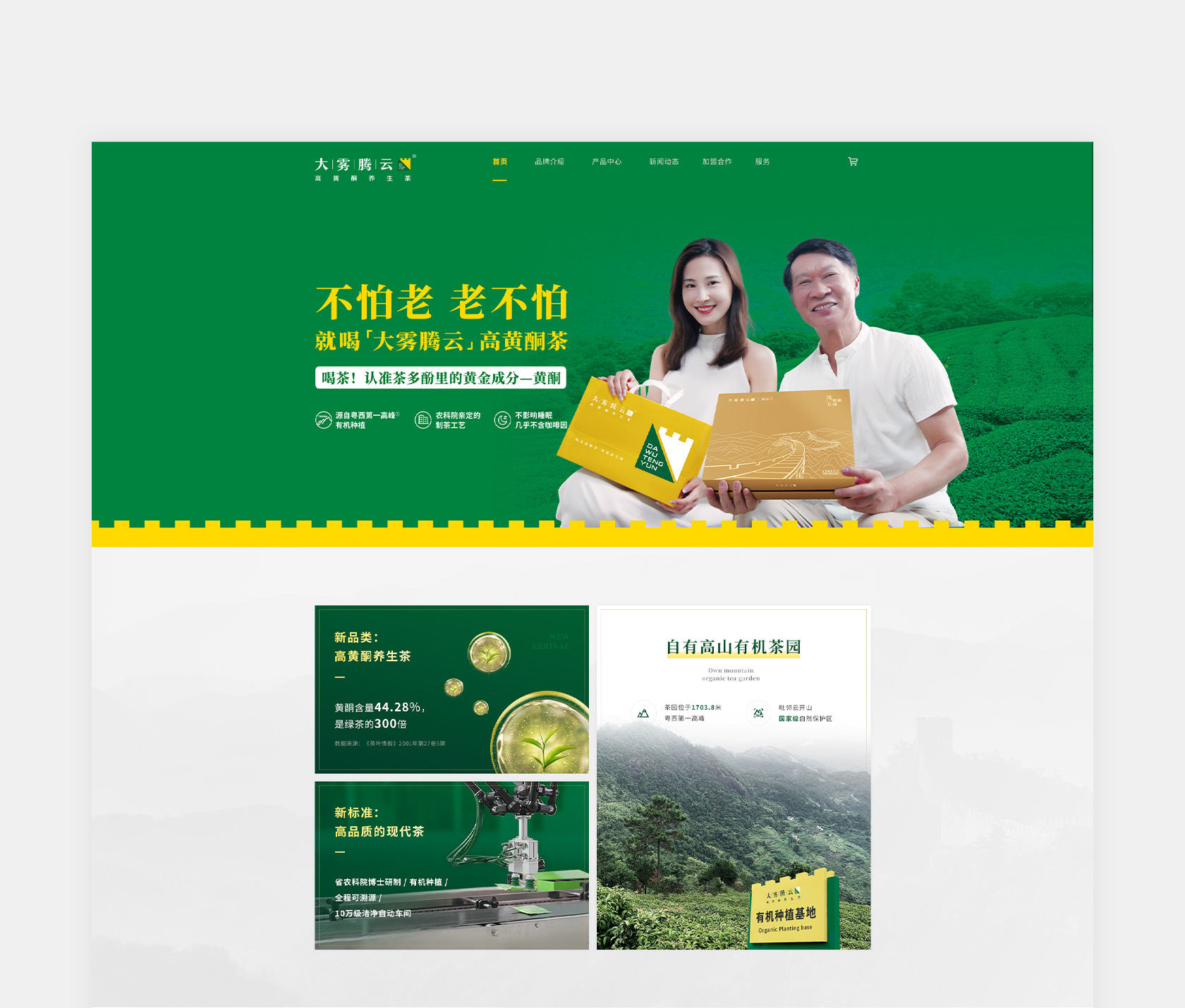 大霧騰云高黃酮茶網(wǎng)站設(shè)計