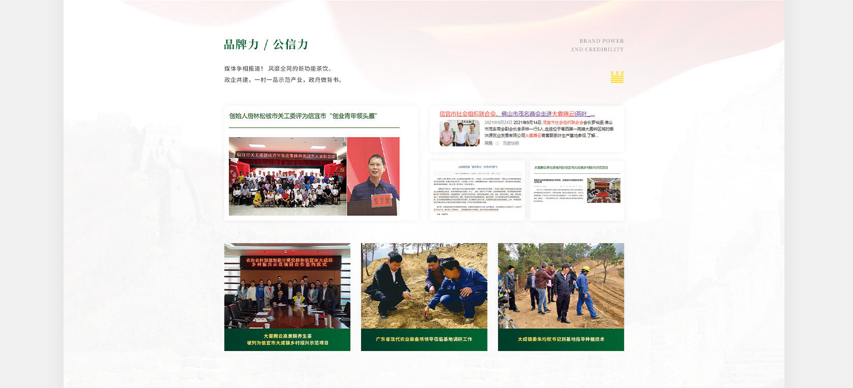 大霧騰云高黃酮茶網(wǎng)站設(shè)計