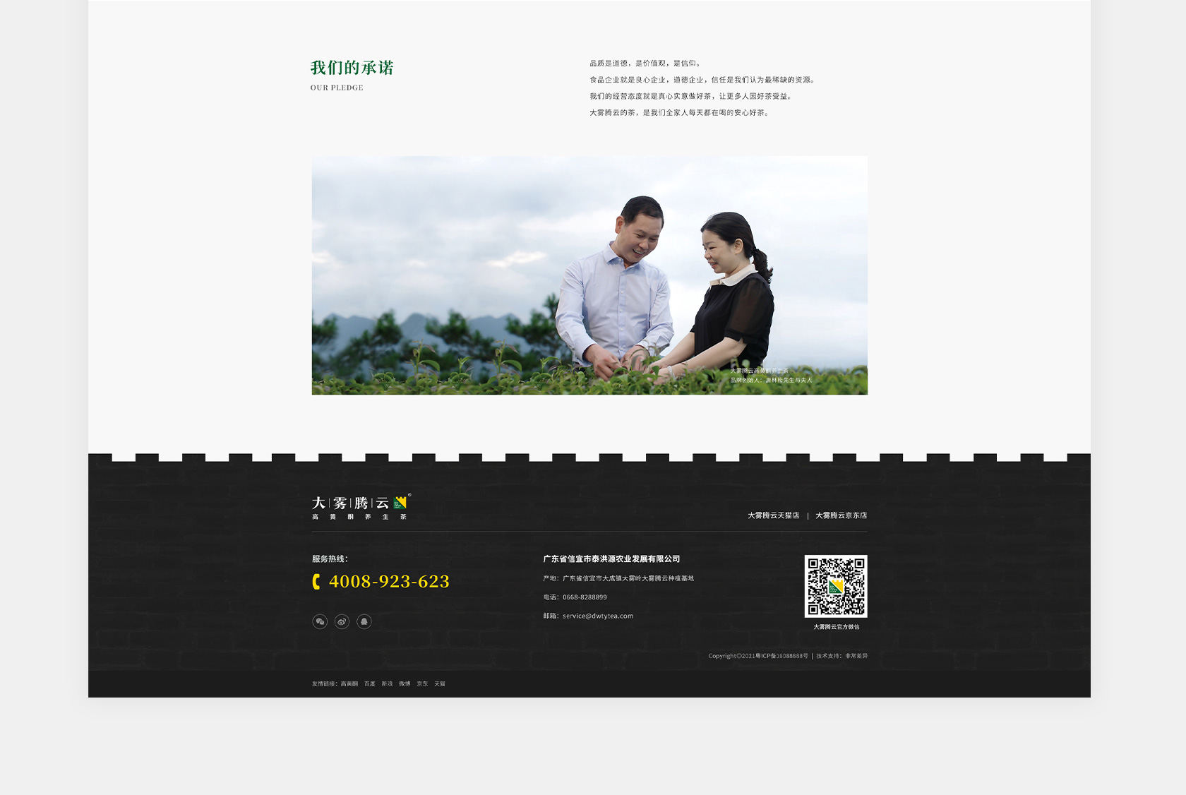 大霧騰云高黃酮茶網(wǎng)站設(shè)計