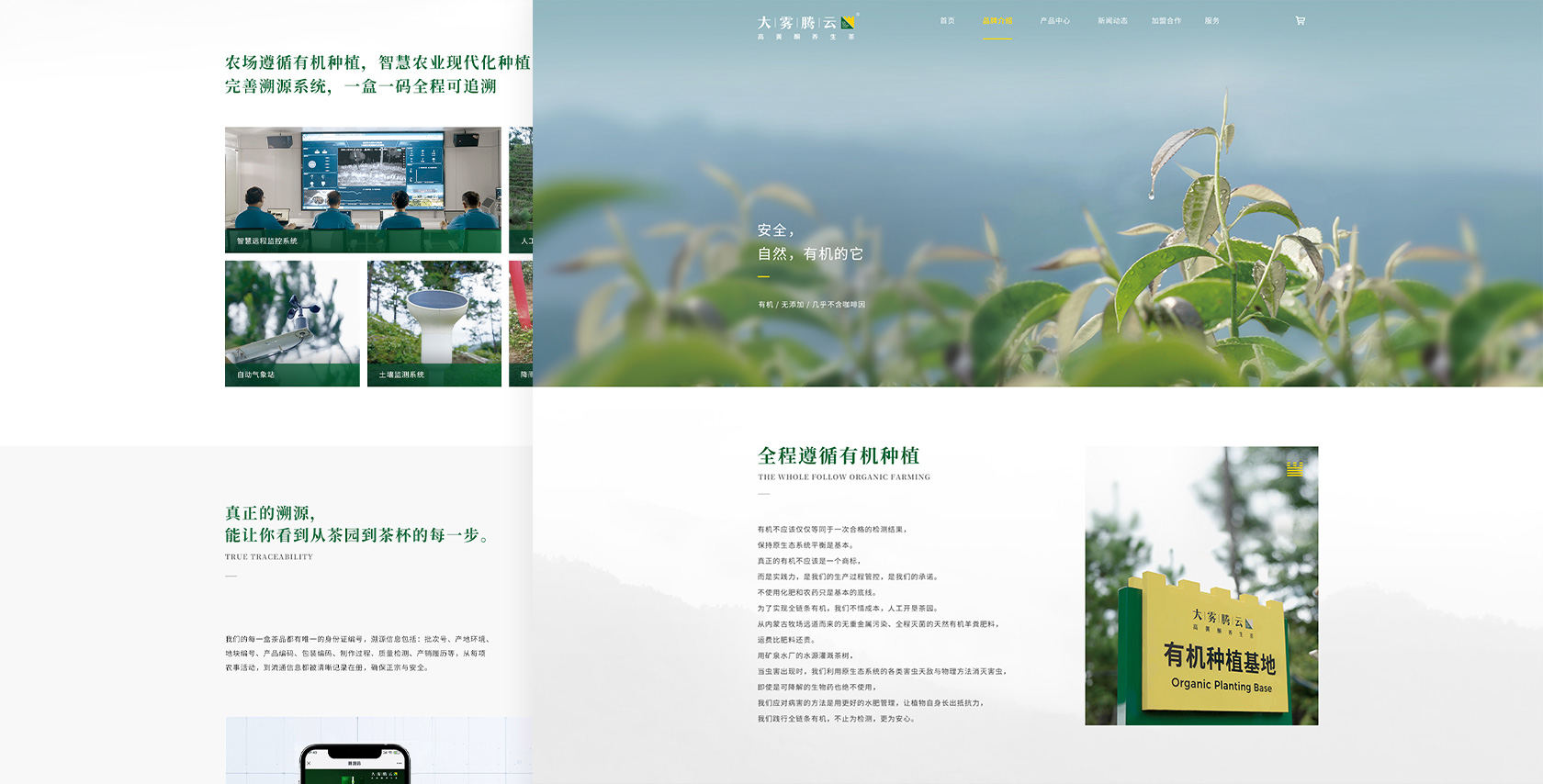 大霧騰云高黃酮茶網(wǎng)站設(shè)計