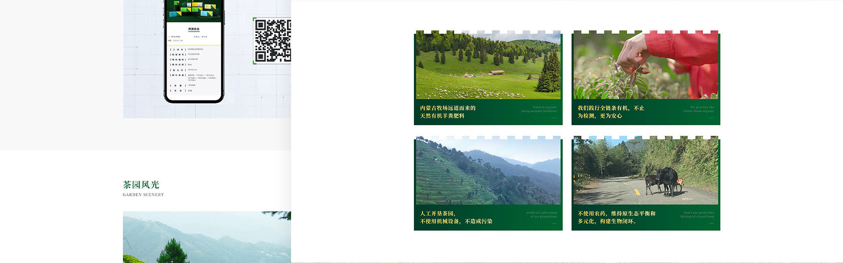 大霧騰云高黃酮茶網(wǎng)站設(shè)計