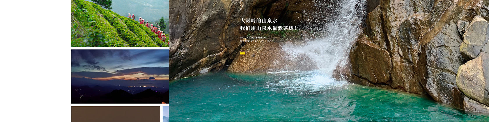 大霧騰云高黃酮茶網(wǎng)站設(shè)計