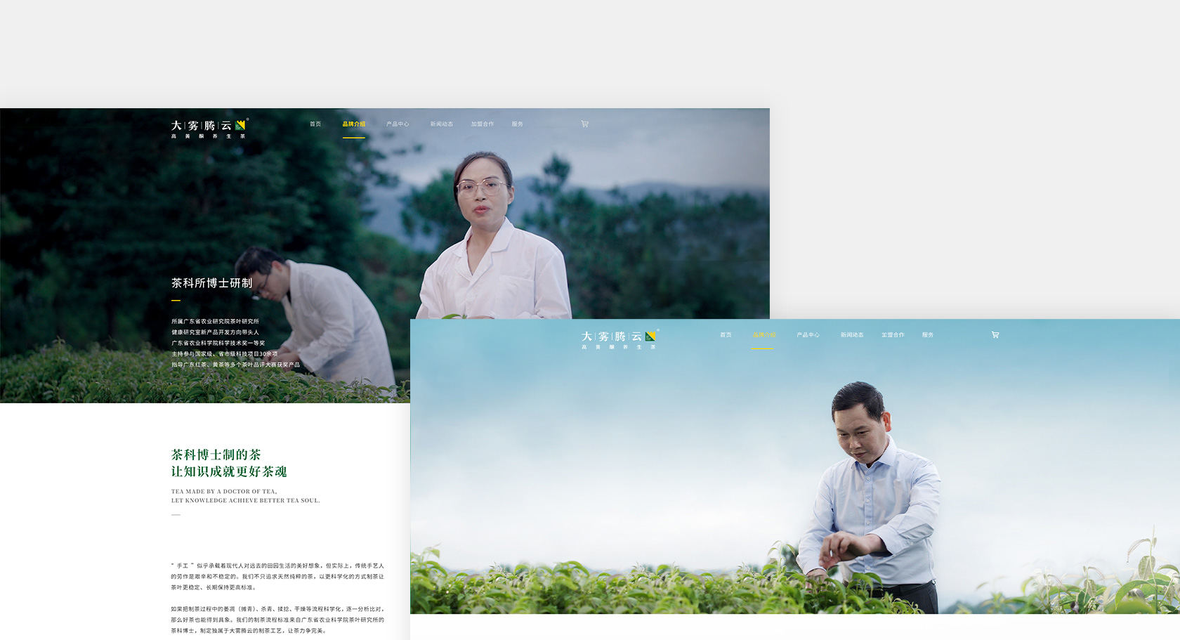 大霧騰云高黃酮茶網(wǎng)站設(shè)計