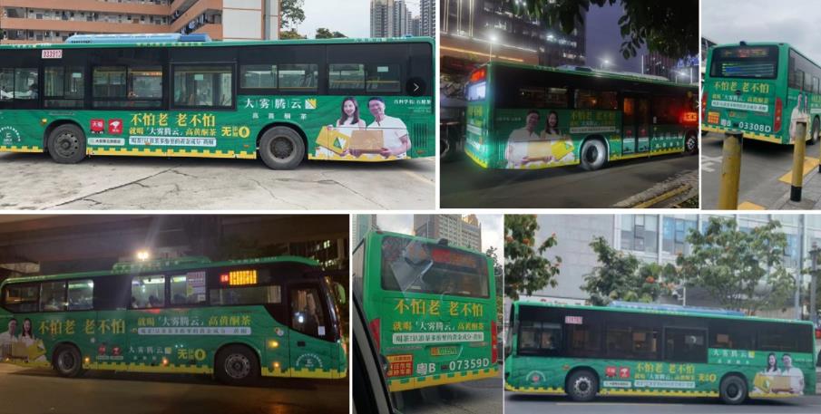 大霧騰云茶葉品牌營銷策劃