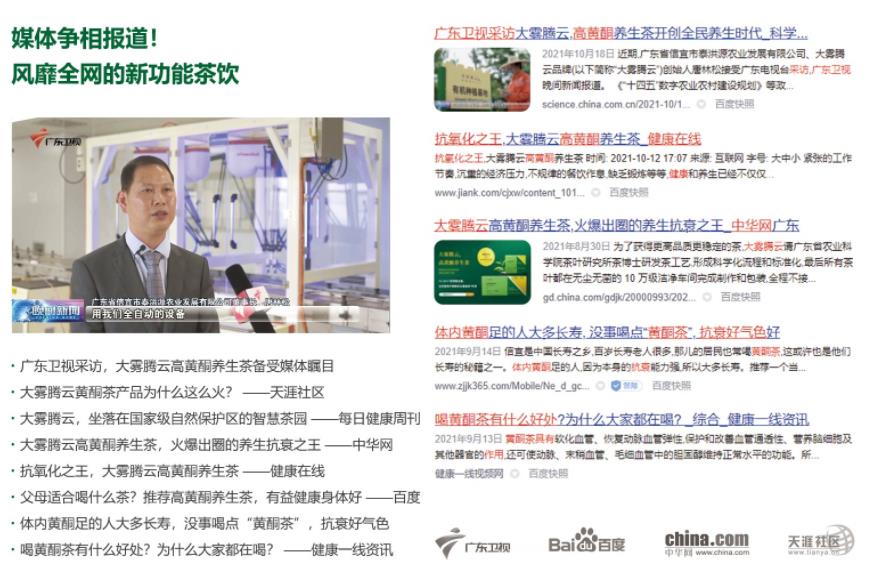 大霧騰云茶葉品牌營銷策劃