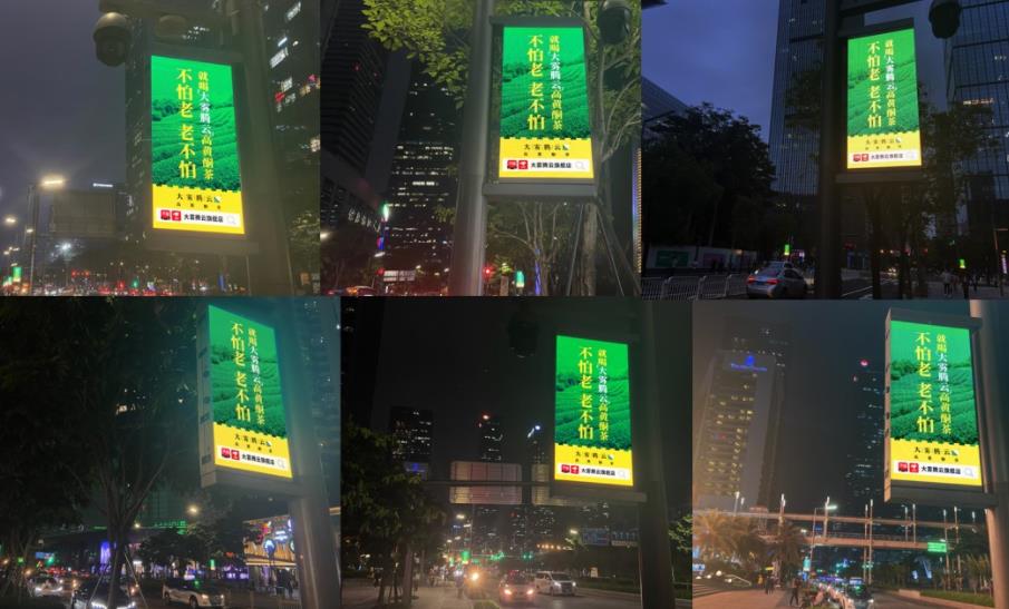 大霧騰云茶葉品牌營銷策劃